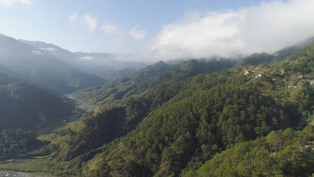 Aerial view of mountains covered forest, trees in clouds and fog. Cordillera region. Luzon, Philippines. Slopes of mountains with evergreen vegetation. Mountainous tropical landscape.