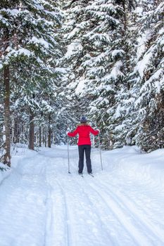 A girl in a red jacket goes skiing in a snowy forest in winter. The view from the back. Snow background with skis between the trees.