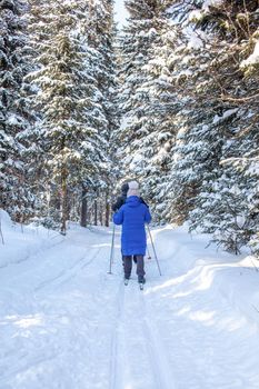 A girl in a blue jacket goes skiing in a snowy forest in winter. The view from the back. Snow background with skis between the trees. Ski trail