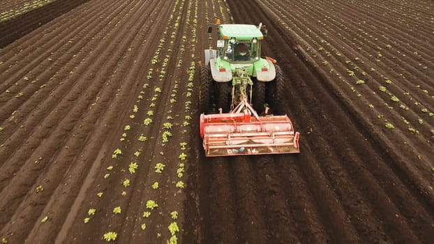 Aerial view Tractor Hilling Potatoes with disc hiller. Farmer in tractor preparing land with seedbed cultivator in farmlands. Tractor plows a field. Agricultural work in processing, cultivation of land. Farmers preparing land and fertilizing. Agricultural workers with tractors.