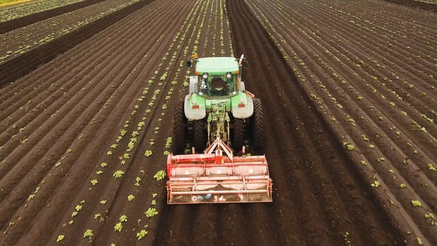 Aerial view Tractor Hilling Potatoes with disc hiller. Farmer in tractor preparing land with seedbed cultivator in farmlands. Tractor plows a field. Agricultural work in processing, cultivation of land. Farmers preparing land and fertilizing. Agricultural workers with tractors.
