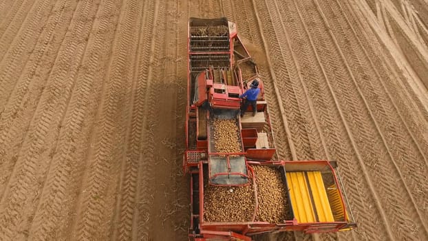 Farm machinery harvesting potatoes. Farmer field with a potato crop.