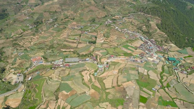 Aerial view of rice terraces and agricultural farm land on the slopes of mountains valley. Cultivation of agricultural products in mountain province. Mountains covered forest, trees. Cordillera region. Luzon, Philippines, Baguio province.