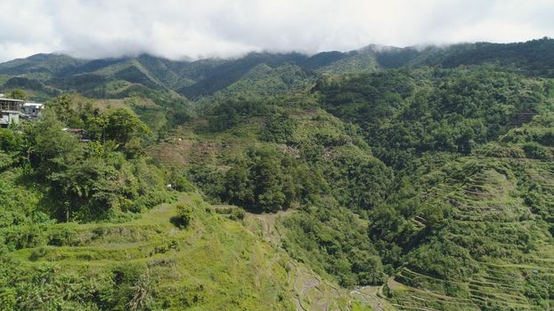 Aerial view of rice terraces on the slopes of the mountains, Banaue, Philippines. Rice cultivation in the North Batad. Mountains covered forest, trees. Philippine Cordilleras.