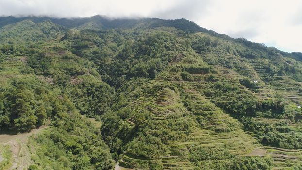 Aerial view of rice terraces on the slopes of the mountains, Banaue, Philippines. Rice cultivation in the North Batad. Mountains covered forest, trees. Philippine Cordilleras.