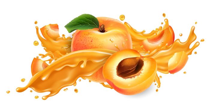 Whole and sliced apricots and a splash of fruit juice on a white background. Realistic style illustration.