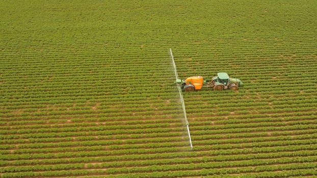 Aerial view tractor spraying the chemicals on the large green field. Spraying the herbicides on the farm land. Treatment of crops against weeds.