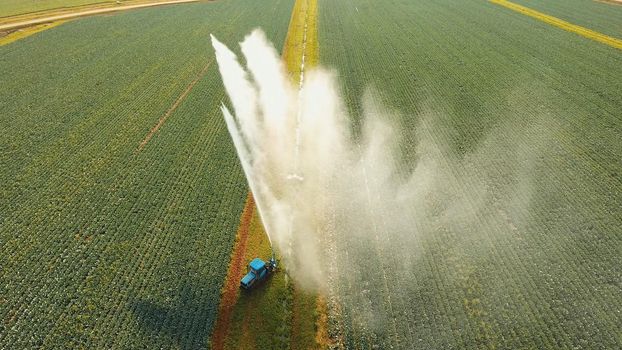 Aerial view: Irrigation equipment watering cabbage field. Irrigation system watering farm field.