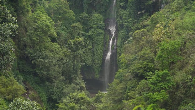 Waterfall in green rainforest. Triple waterfall Sekumpul in the mountain jungle. Bali,Indonesia. Travel concept.