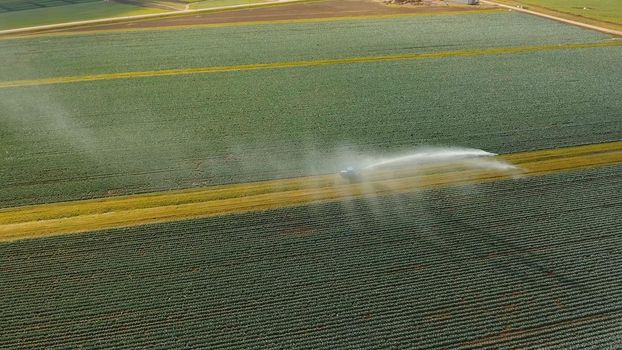 Aerial view: Irrigation equipment watering cabbage field. Irrigation system watering farm field.