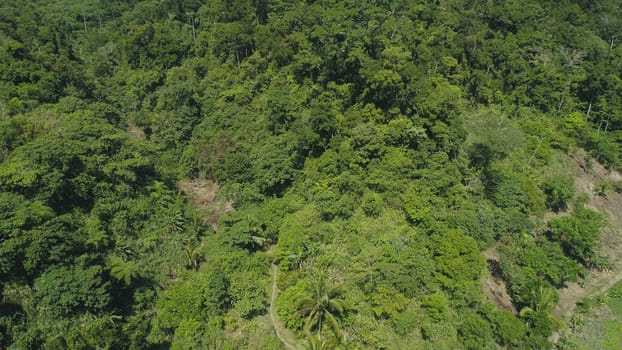 Aerial view of mountains with green forest, trees, jungle. Slopes of mountains with tropical rainforest. Philippines, Luzon. Tropical landscape in Asia.