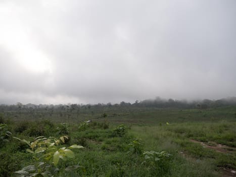 Farmland, fields with white fog, clouds Bali,Indonesia. Fog, cloud over farmland. Rural mountain landscape of fields with fence, trees.