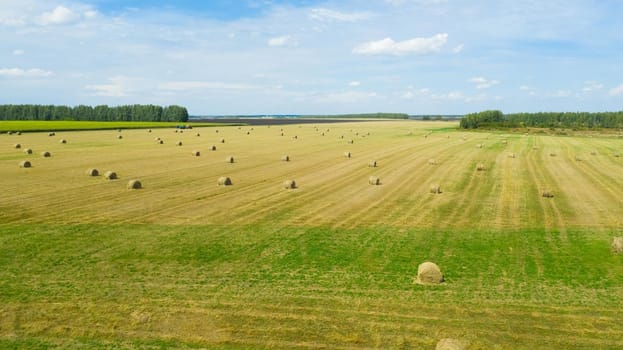 Rural fields after harvesting with round stacks of golden straw are collected in many rolls. Landscape meadow with hay bales after harvest.