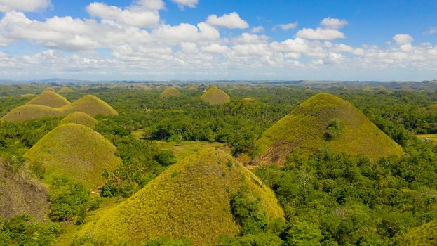 Scenic view on amazingly shaped Chocolate hills in Bohol island, Philippines.