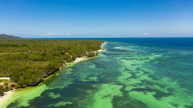 Tropical sandy beach with palm trees and turquoise clear waters. Bohol, Anda, Philippines.