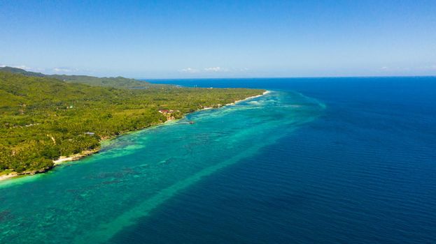 Tropical sandy beach with palm trees and turquoise clear waters. Bohol, Anda, Philippines.