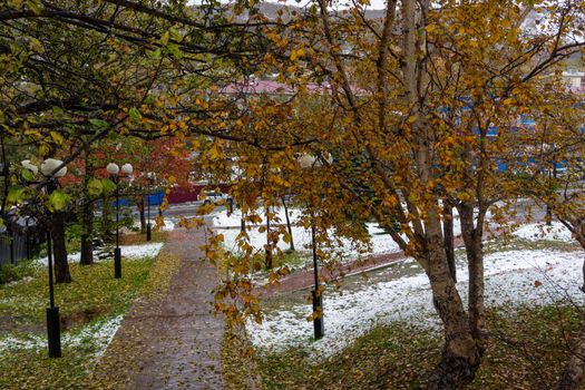 Petropavlovsk-Kamchatsky, Russia. Cityscape with view on the Park and the street.