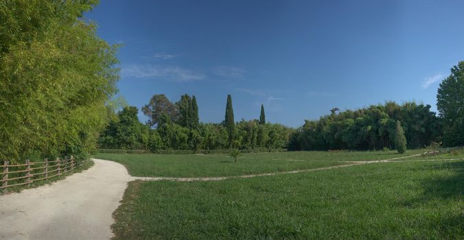 Panorama of the summer Park with vegetation and paths. Sochi, Russia.