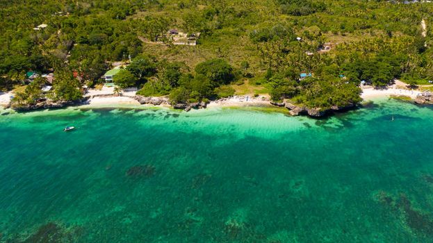 Aerial top view on sand beach,palm tree and ocean. Sandy beach and azure water. Bohol, Anda, Philippines.