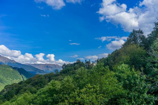 Mountain landscape with trees against a blue sky with clouds