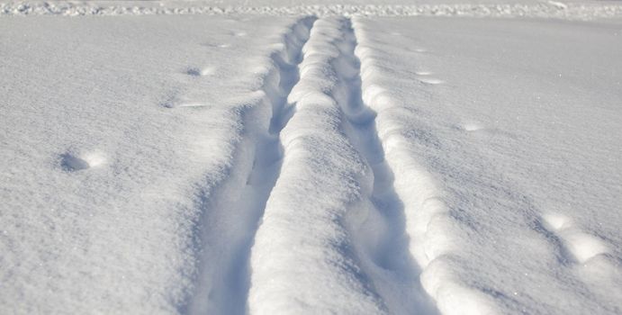 A walk through the winter forest. Snow trees and a cross-country ski trail. Beautiful and unusual roads and forest trails. Beautiful winter landscape.