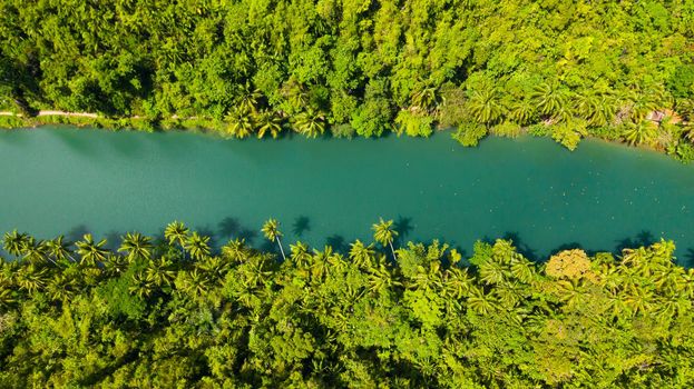 The river in the rainforest among the green lush vegetation. Loboc River view from the top. Bohol, Philippines.