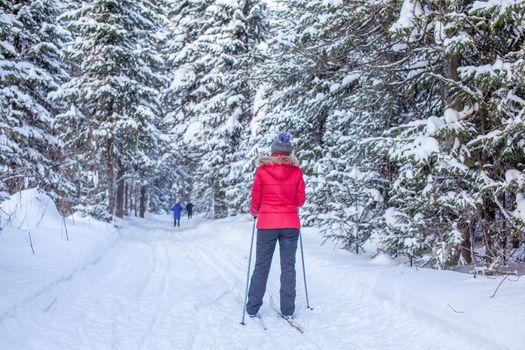 A girl in a red jacket goes skiing in a snowy forest in winter. The view from the back. Snow background with skis between the trees.