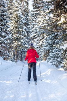 A girl in a red jacket goes skiing in a snowy forest in winter. The view from the back. Snow background with skis between the trees.