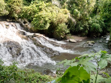 Waterfall in green rainforest. waterfall in the mountain jungle. Bali,Indonesia. Travel concept.
