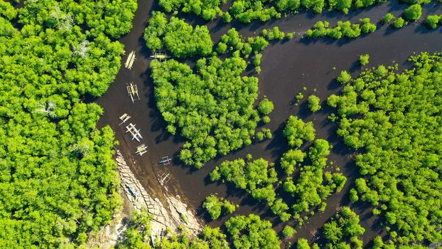 Aerial view of panoramic mangrove forest. Mangrove landscape. Mindanao, Philippines.