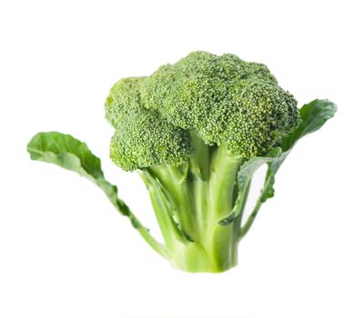 Fresh broccoli cabbage isolated on white background.