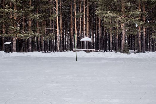 A walk through the winter forest. Snow trees and a cross-country ski trail. Beautiful and unusual roads and forest trails. Beautiful winter landscape.