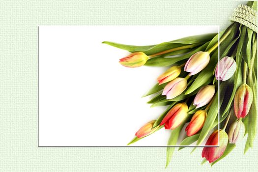 Bunch of spring flowers. Fresh tulips on white green background. Valentines, Easter, Birthday, Love, marriage, wedding card