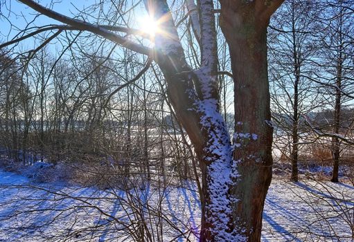 Snow covered frozen lake landscape in northern europe on a sunny day