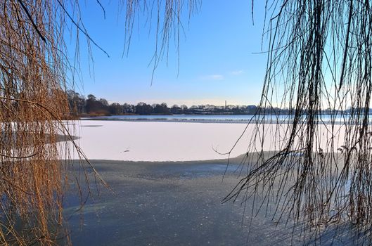Snow covered frozen lake landscape in northern europe on a sunny day