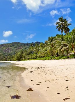 Sunny day beach view on the paradise islands Seychelles.