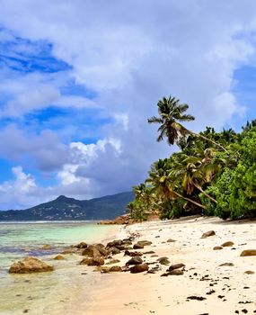 Sunny day beach view on the paradise islands Seychelles.