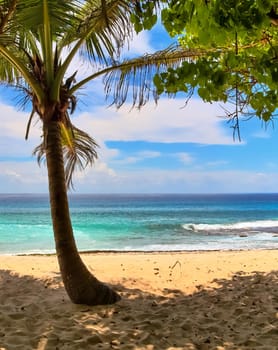 Sunny day beach view on the paradise islands Seychelles.