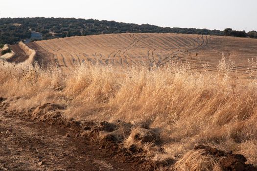 Landscapes of Andalusia in Spain