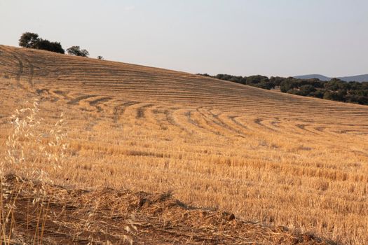 Landscapes of Andalusia in Spain