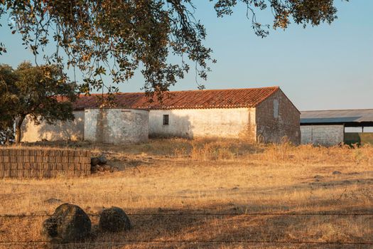 Beautiful couples, fields and landscapes of the Cordoba mountains in Spain. Photograph taken in the month of July.