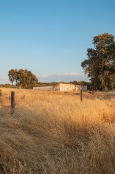 Beautiful couples, fields and landscapes of the Cordoba mountains in Spain. Photograph taken in the month of July.