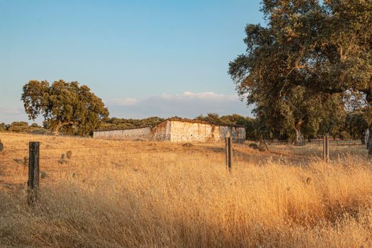 Beautiful couples, fields and landscapes of the Cordoba mountains in Spain. Photograph taken in the month of July.