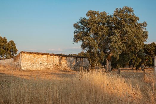 Beautiful couples, fields and landscapes of the Cordoba mountains in Spain. Photograph taken in the month of July.