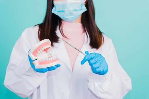 Asian beautiful woman dentist holding professional tool and pointing model teeth denture, female doctor checking denture isolated on blue background. Dental hygiene surgery health care concept