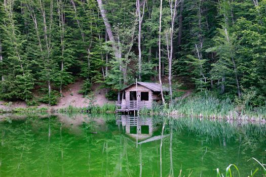 Yalta, Crimea. wooden house on the shore of a small lake surrounded by trees and vegetation.