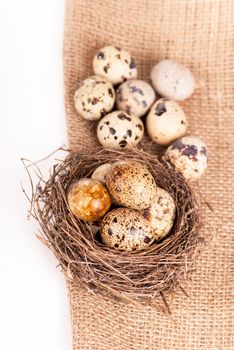 Nest with quail eggs on a canvas on a white background