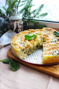 Close-up of baked lasagna in a ceramic plate with a piece cut off.Texture or background
