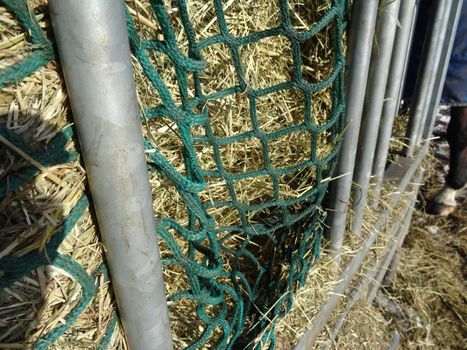 Side view of hay under green net in the hay rack