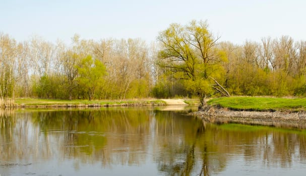 Spring landscape with a river and a grove of trees reflecting in the river.